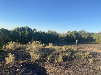 Lot 11 Sunset Drive, Eagar, Arizona 85925, ,Land,For Sale,Sunset,231674