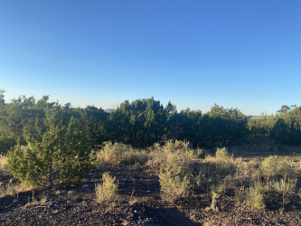 Lot 10 Sunset Drive, Eagar, Arizona 85925, ,Land,For Sale,Sunset,231673