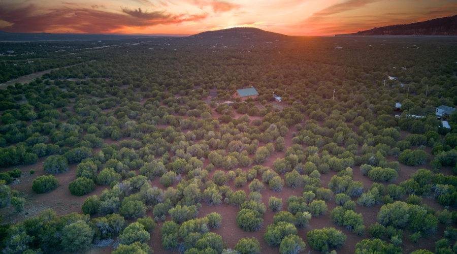 Over 8 Acres of Mountain Life!