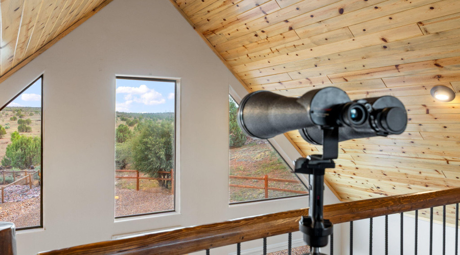 LOOKING OUT FROM THE LOFT