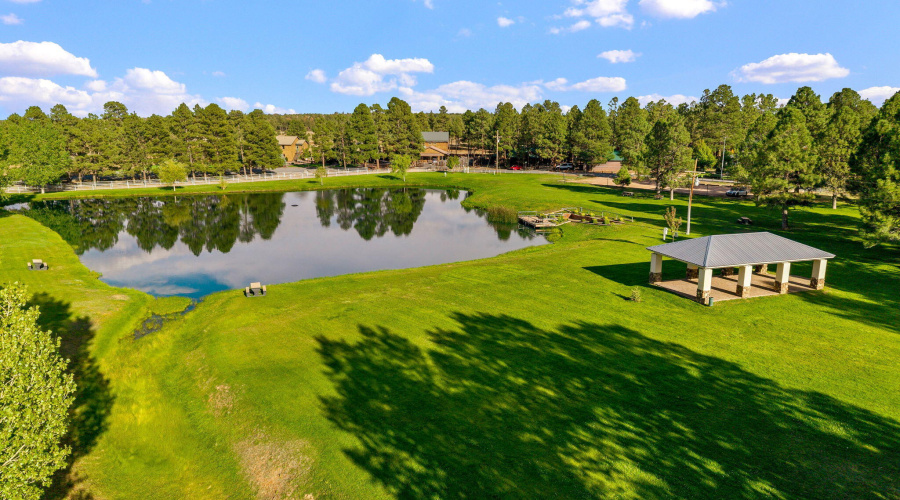 AERIAL VIEW OF THE PARK