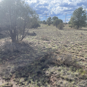 2752 Zane Grey