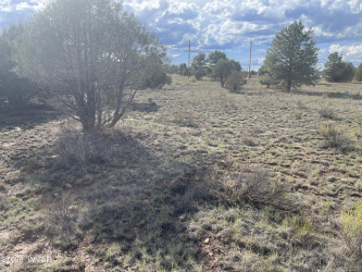 2752 Zane Grey Boulevard, Overgaard, Arizona 85933, ,Land,For Sale,Zane Grey,257879