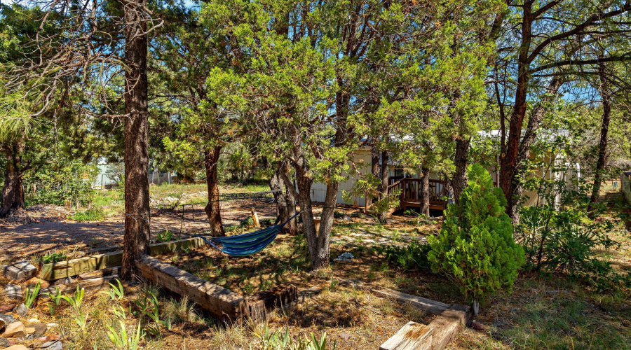 945S8thDr-ShowLow-AZ-24