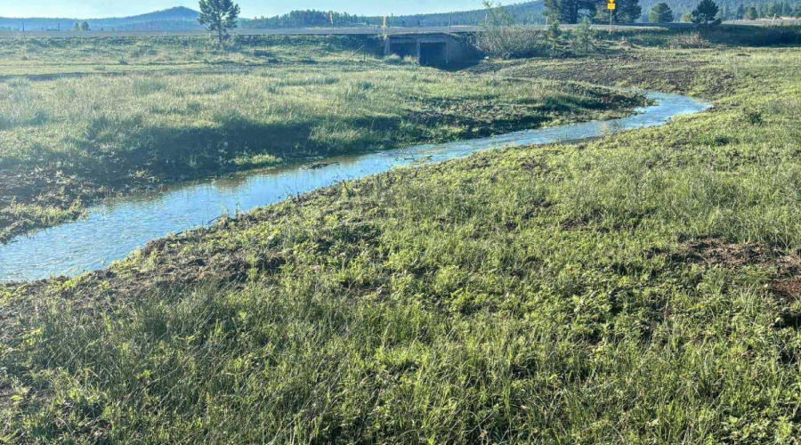 Messenger_creation_AC904D0D-B2CA-40F2-94