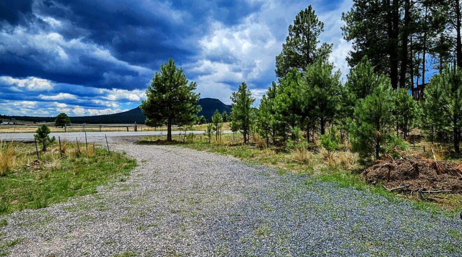 20250816_121556-EDIT