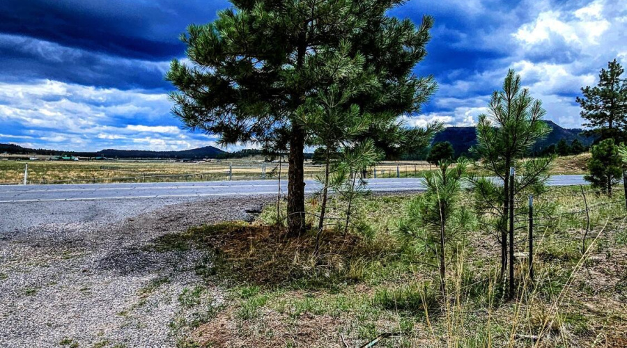 20250816_121634-EDIT