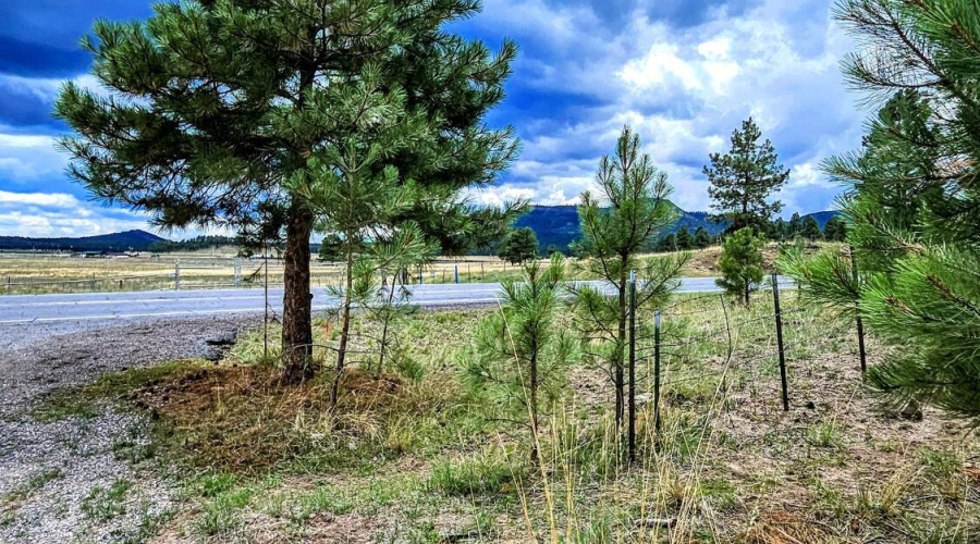 20250816_121644-EDIT