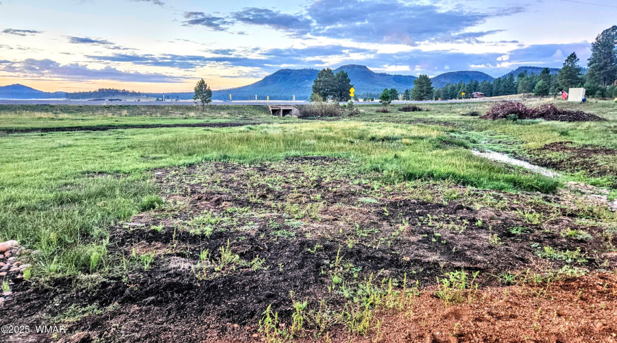 20250912_055256-EDIT