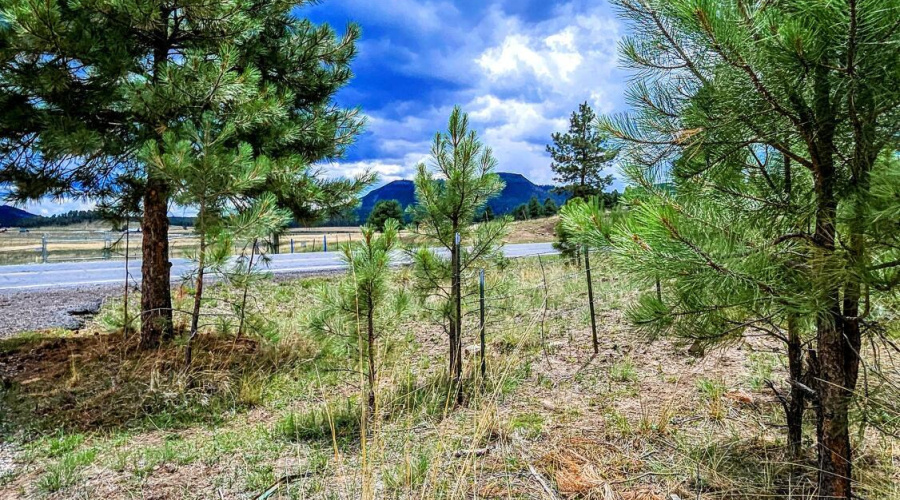 20250816_121633-EDIT