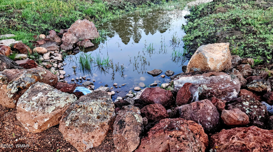 20250912_055305-EDIT