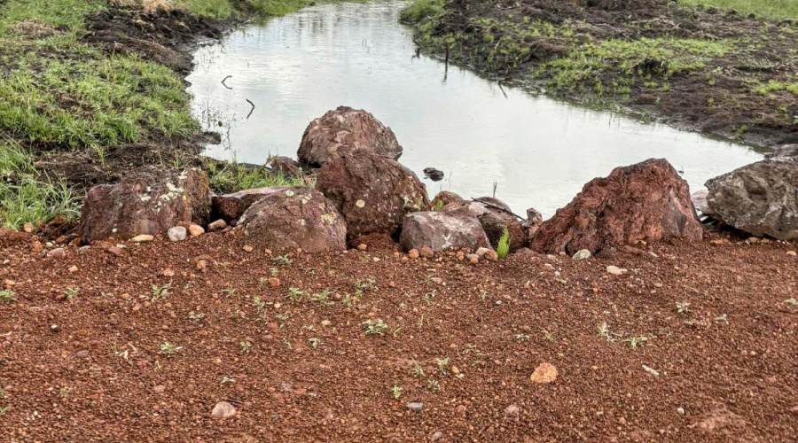 Messenger_creation_265ADDDF-4766-45EF-BF