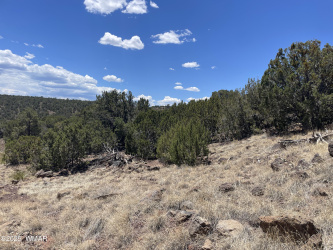 15 Oak Drive, Concho, Arizona 85924, ,Land,For Sale,Oak,257894