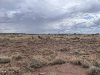 21 County Road 6010, St. Johns, Arizona 85936, ,Land,For Sale,County Road 6010,257891