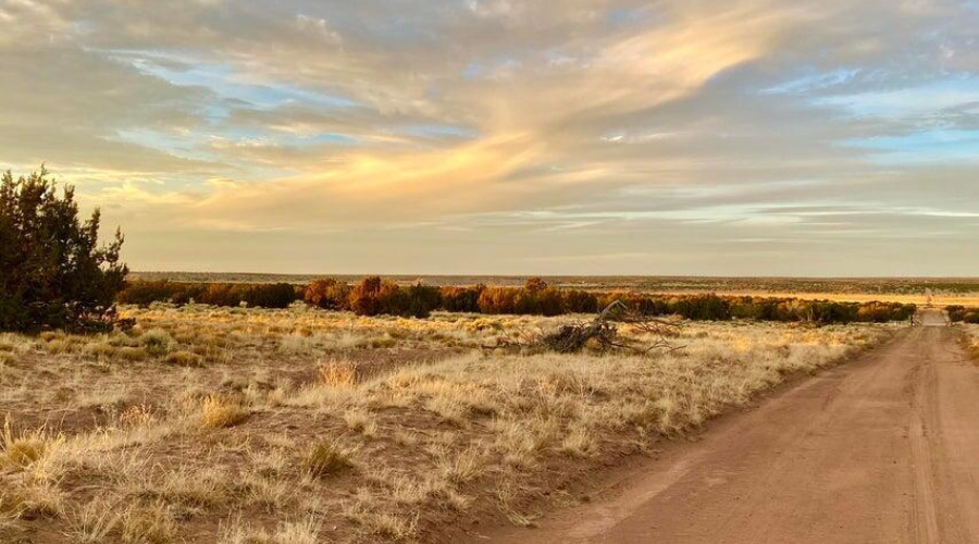 20250302232026725048000000-o (1)