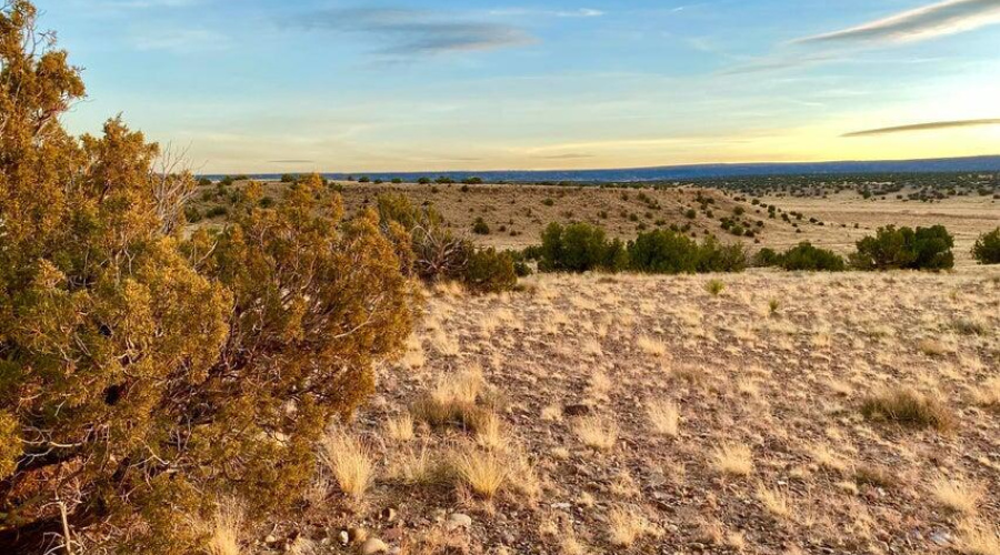 20250302092746589056000000-o (1)