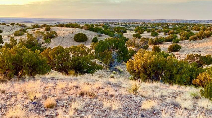 20250302093710126162000000-o (1)