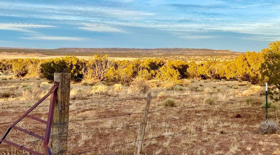 20250302234625791535000000-o (1)