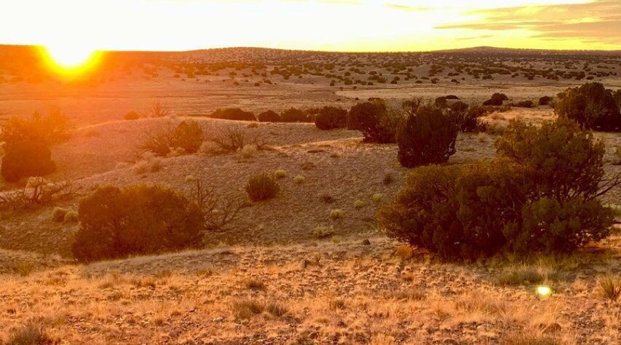 20250302093827840760000000-o (1)