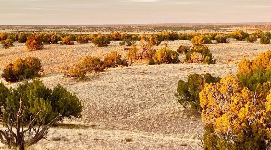 20250302094415286019000000-o (1)