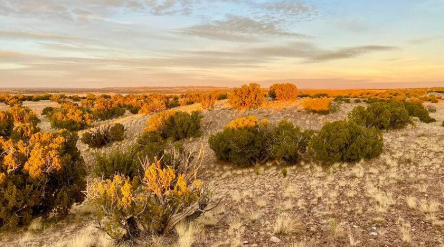 20250302094513504442000000-o (1)