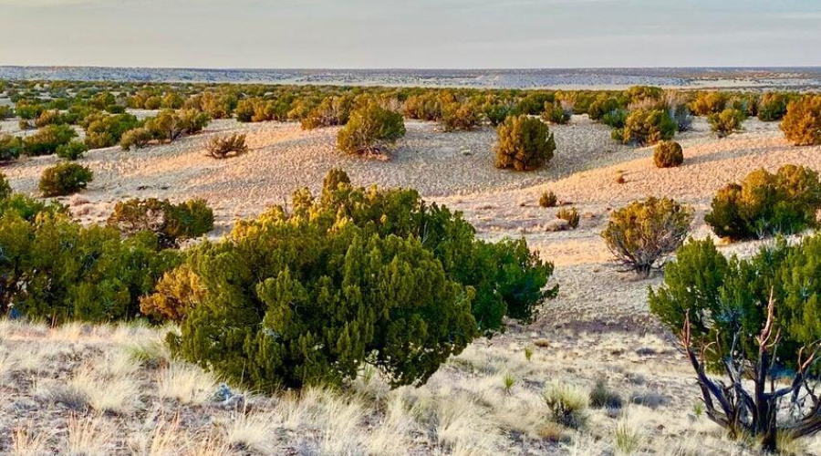 20250302094231420380000000-o (1)