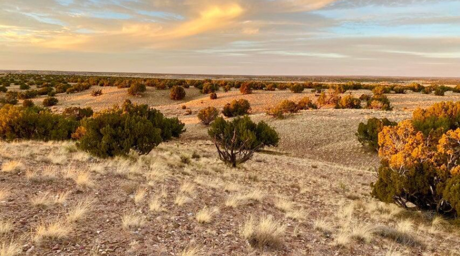 20250302230422721257000000-o (1)