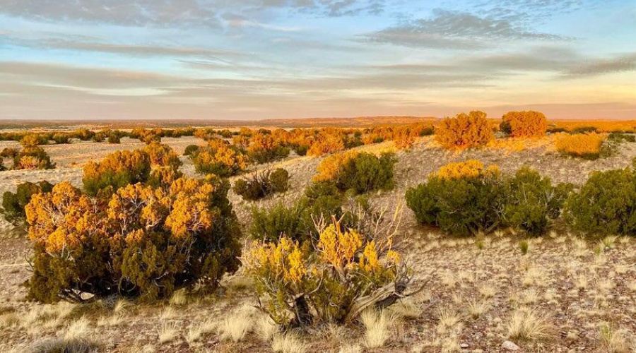 20250302230812417701000000-o (1)