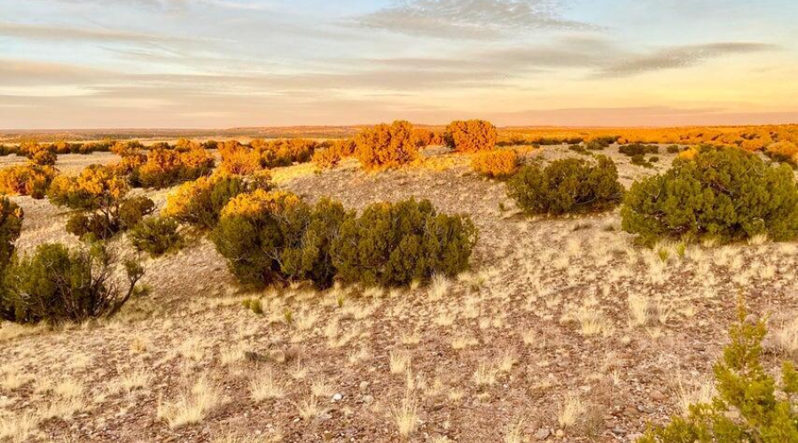 20250302231251908055000000-o (1)