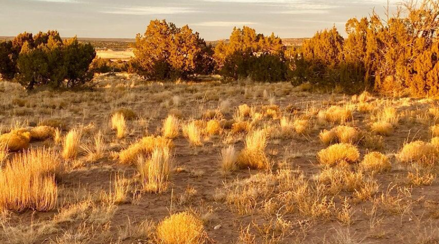 20250302231908146238000000-o (1)