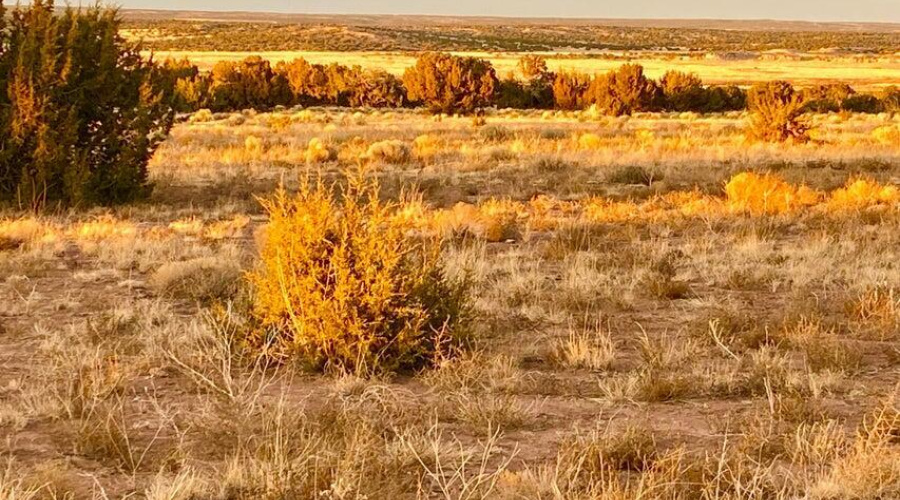 20250302232633312405000000-o (1)