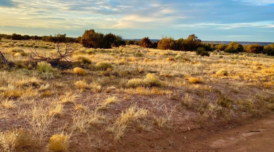 20250303064239988166000000-o (1)