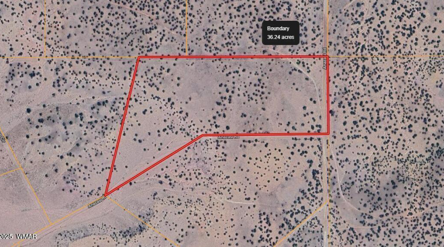 20250301192625963029000000-o (1)