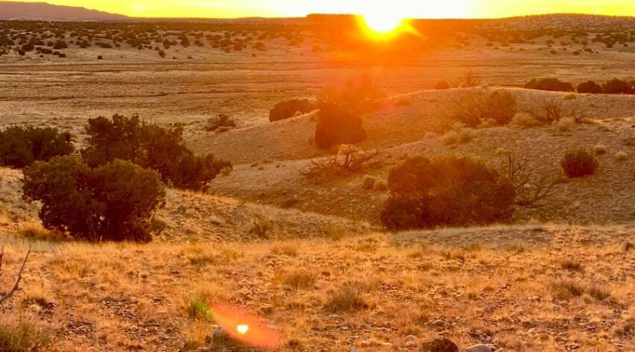 20250302093938451759000000-o (1)