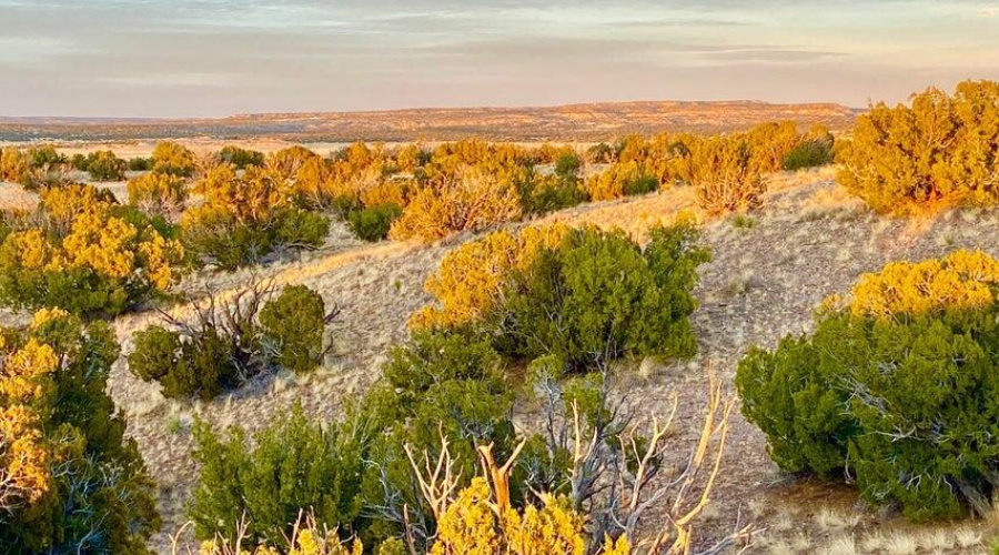 20250302094133627546000000-o (1)