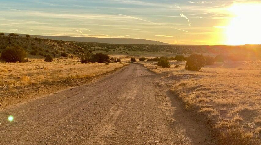 20250302234817699700000000-o (1)