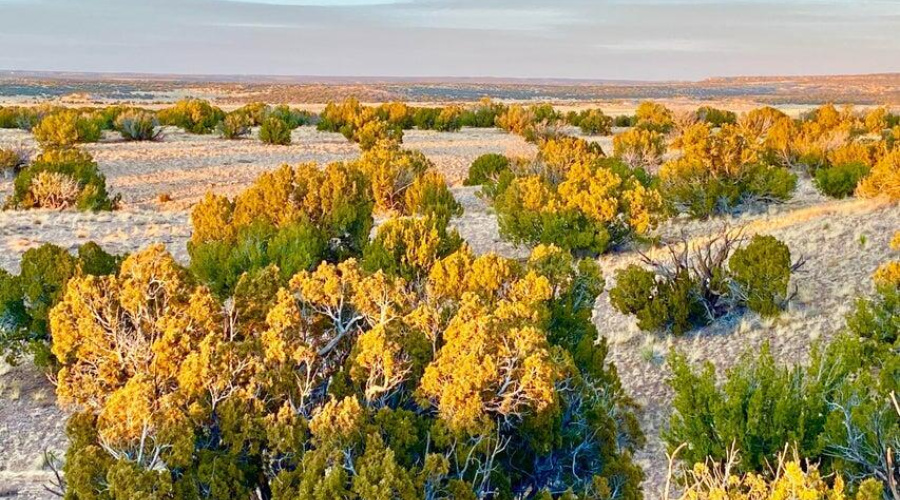 20250302094329694234000000-o (1)