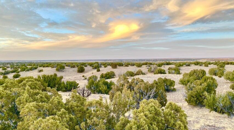 20250302091857607278000000-o (1)