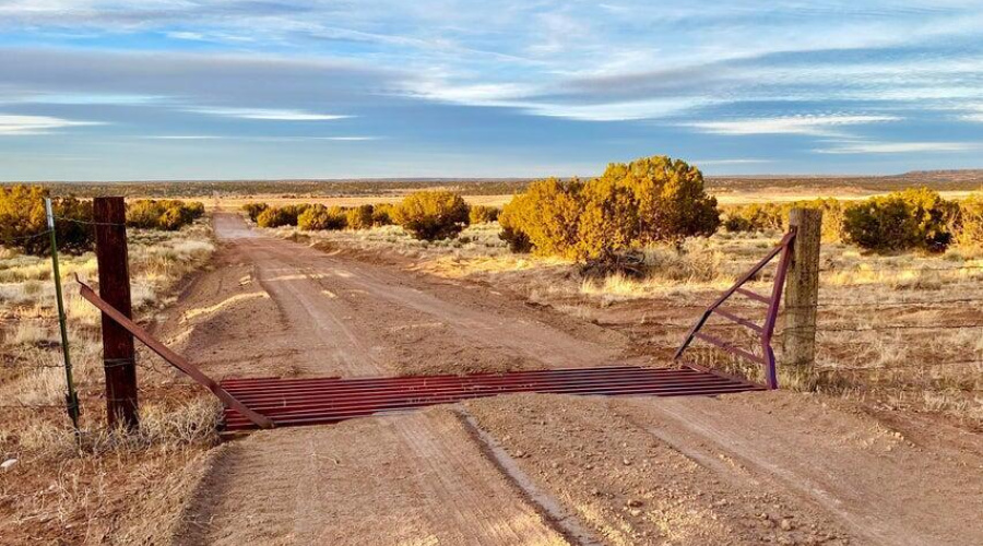 20250302233922423208000000-o (1)