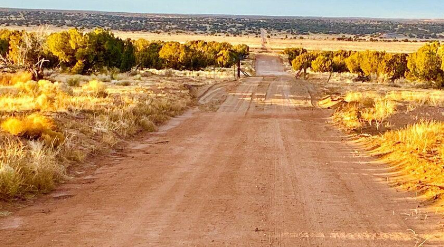 20250303064544118986000000-o (1)