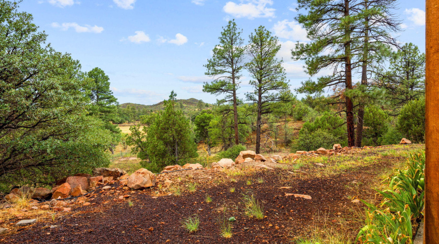 6305Hwy260-ShowLow-AZ-51