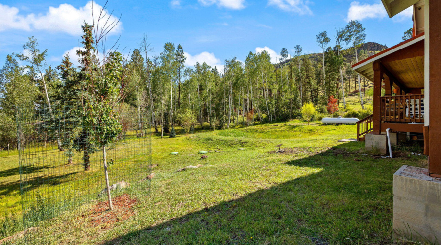 63CountyRd1121-CabinMAIN-Greer-AZ-40