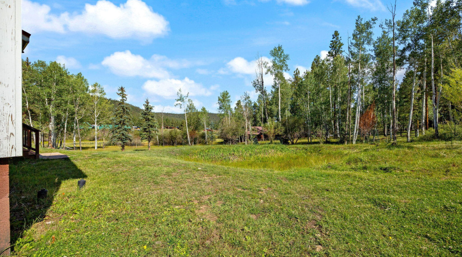 63CountyRd1121-CabinMAIN-Greer-AZ-41