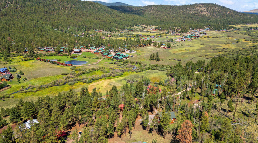 63CountyRd1121-CabinMAIN-Greer-AZ-49