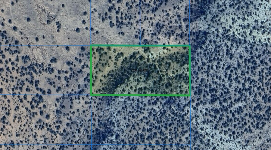 Screenshot 2025-09-09 104252