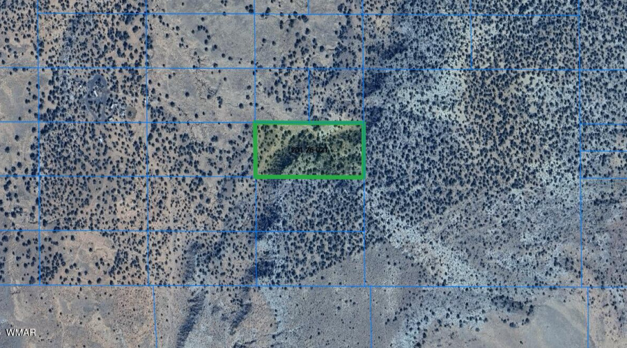 Screenshot 2025-09-09 104235