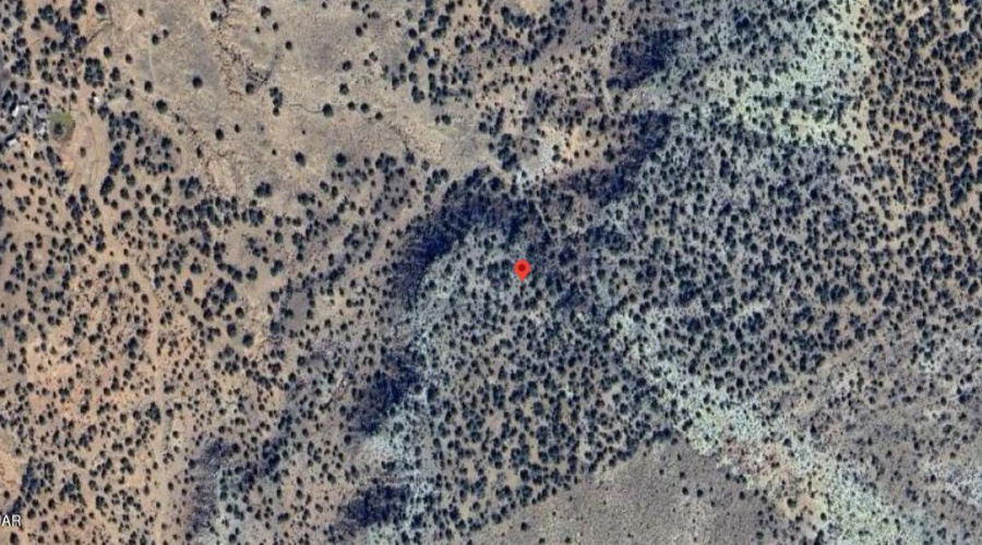 Screenshot 2025-09-09 104159