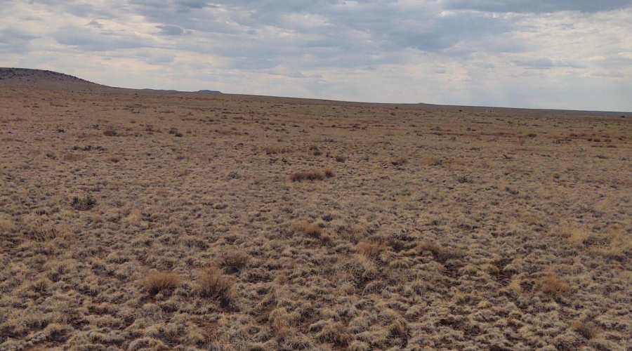 IMG_20250823_152748578