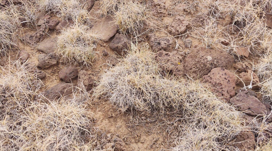 IMG_20250823_153206234