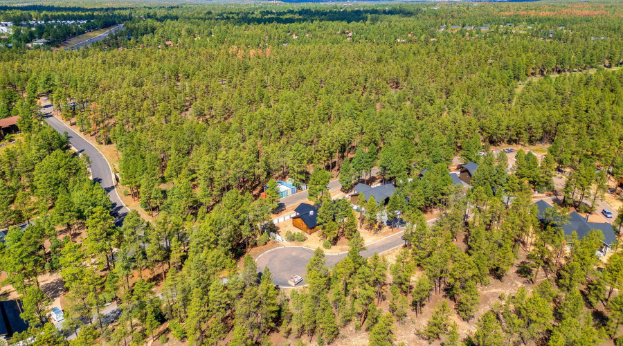 30NBenchCir-ShowLow-AZ-12